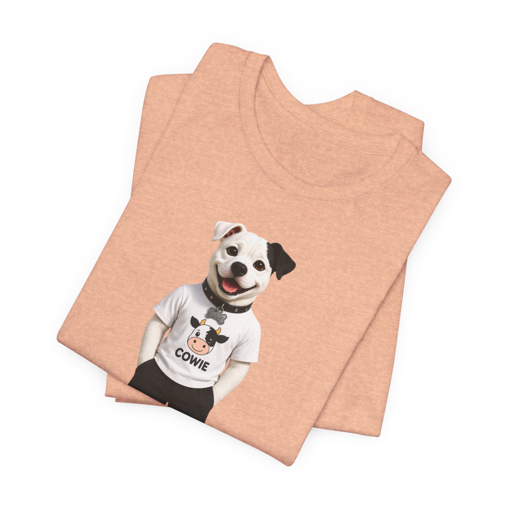 Best Paws Pals - Apollo in Cowie Shirt