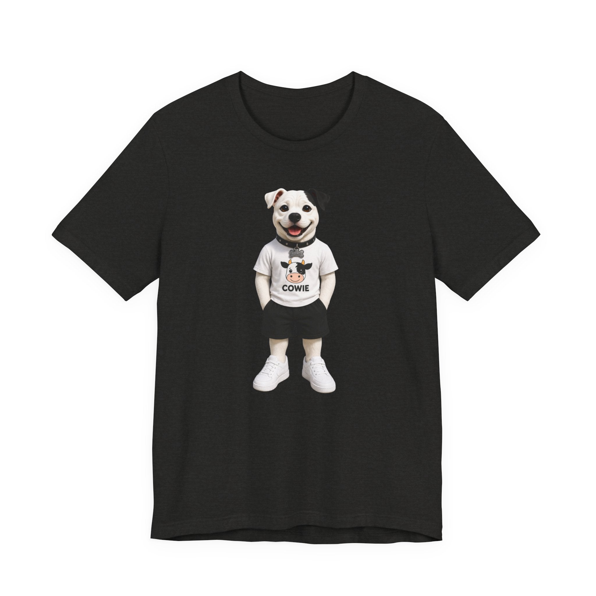Best Paws Pals - Apollo in Cowie Shirt