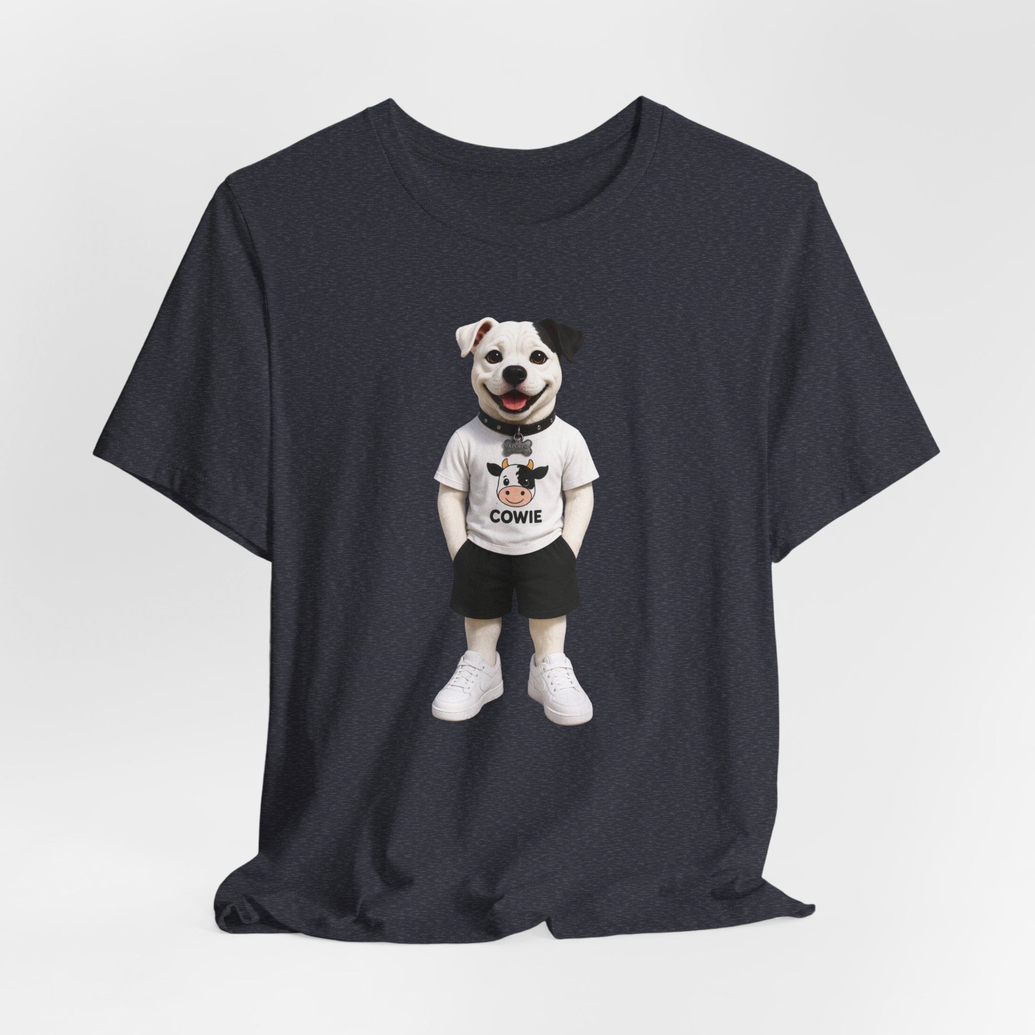 Best Paws Pals - Apollo in Cowie Shirt
