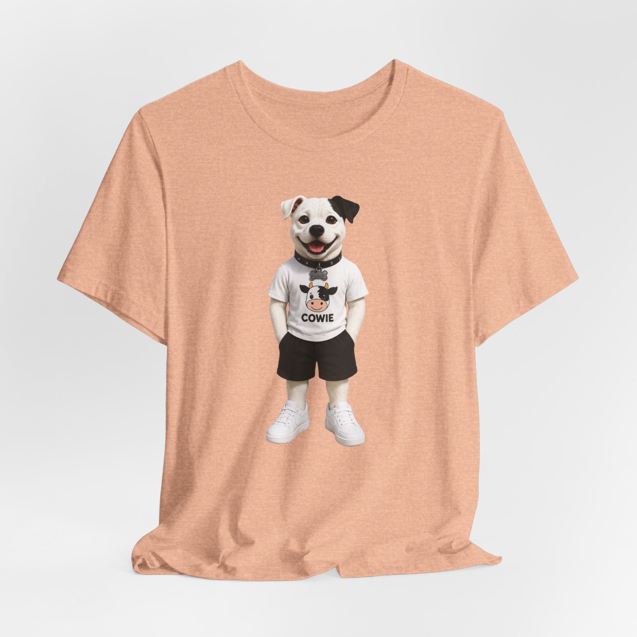 Best Paws Pals - Apollo in Cowie Shirt