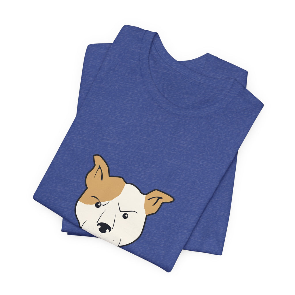 Bleu' Dreams Studio - by Mr. DJ Sneakydog Blue logo