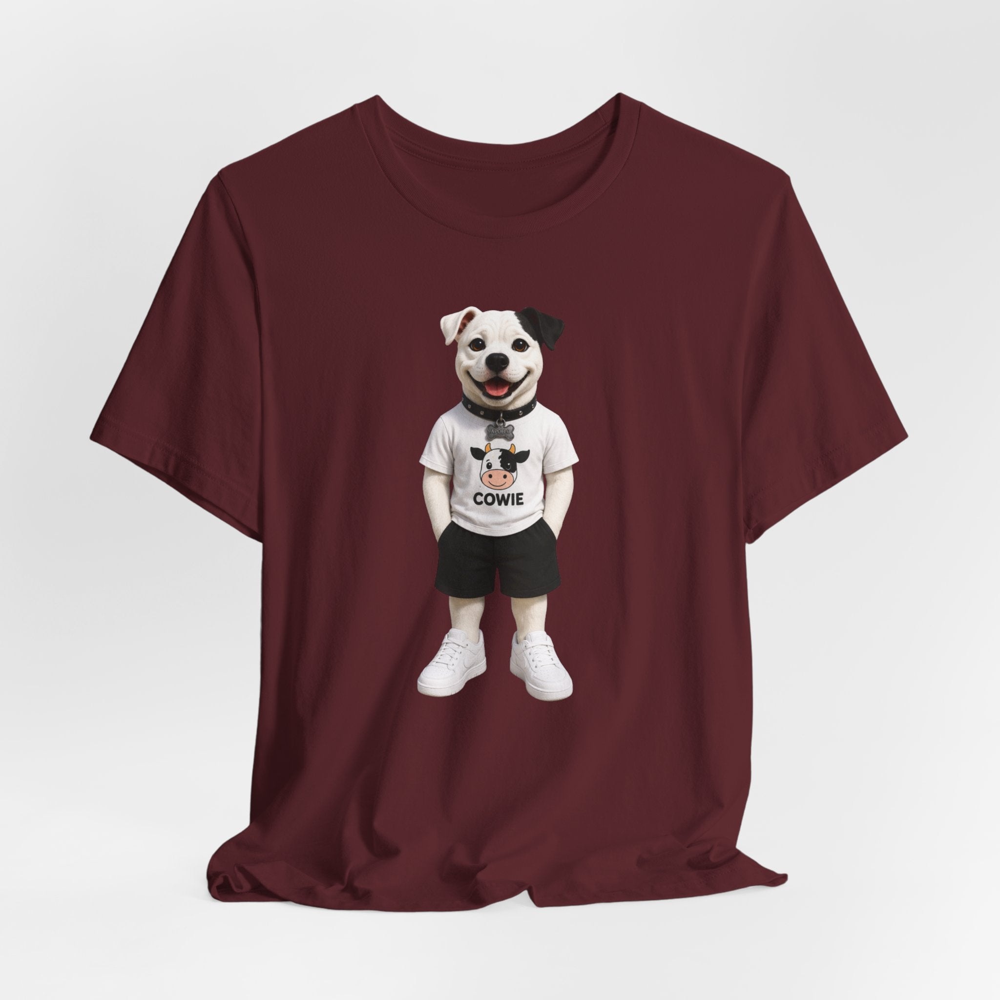 Best Paws Pals - Apollo in Cowie Shirt
