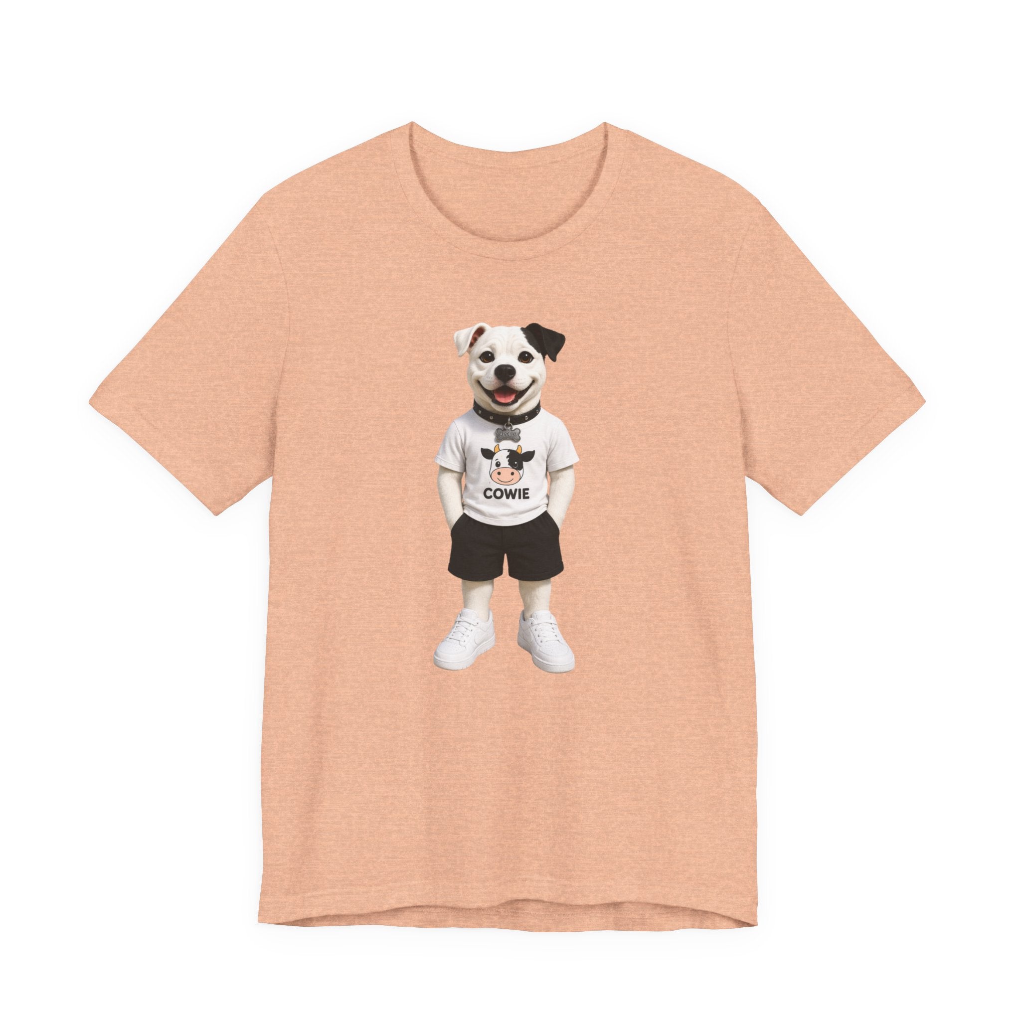 Best Paws Pals - Apollo in Cowie Shirt